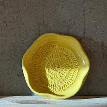 Garlic Grater - Yellow